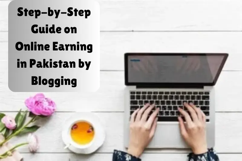 step-by-step guide on online earning in pakistan by blogging
