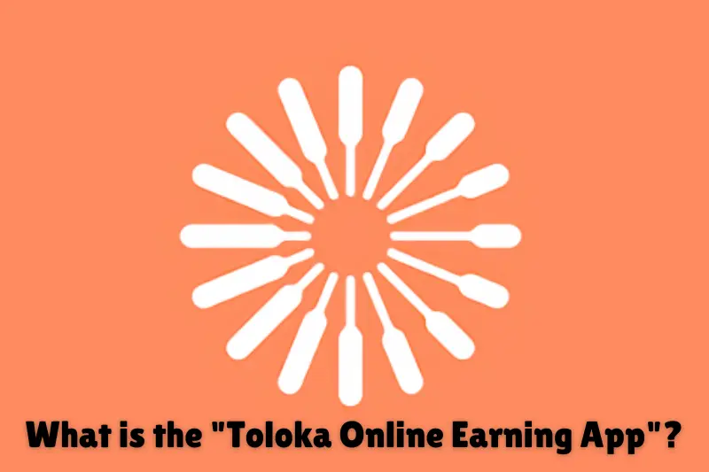 what is the toloka online app
