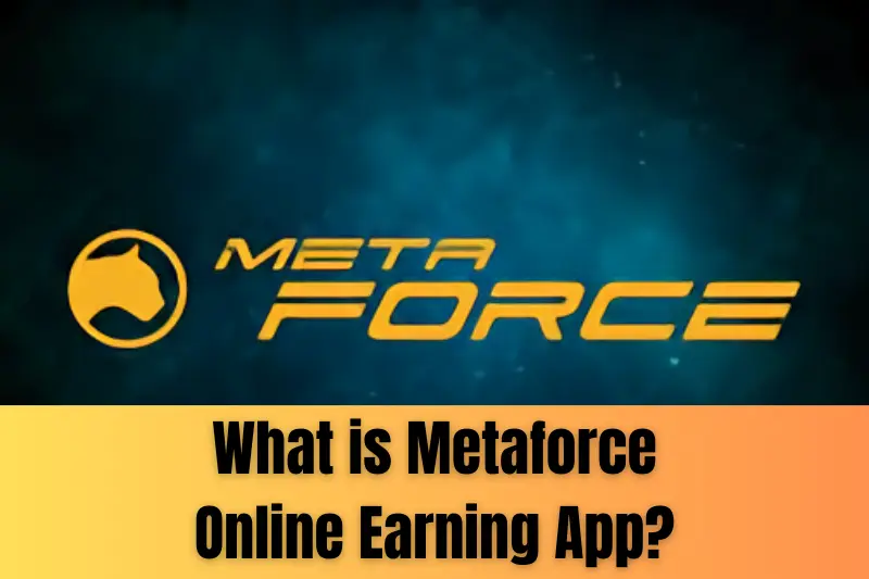 what is metaforce online app
